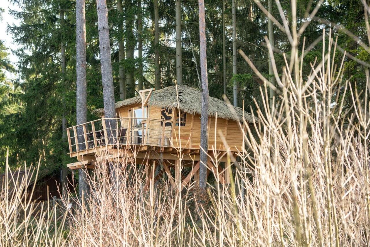Treehouse U Rybnika Hotel Osecna Exterior photo
