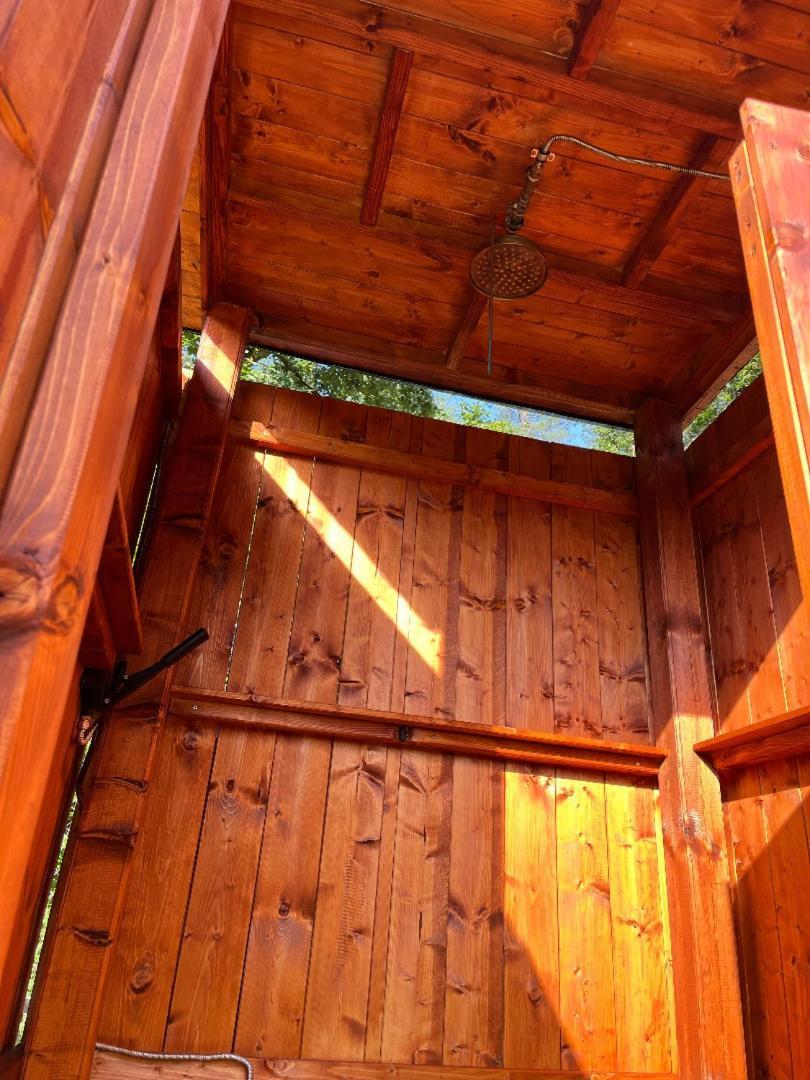 Treehouse U Rybnika Hotel Osecna Exterior photo