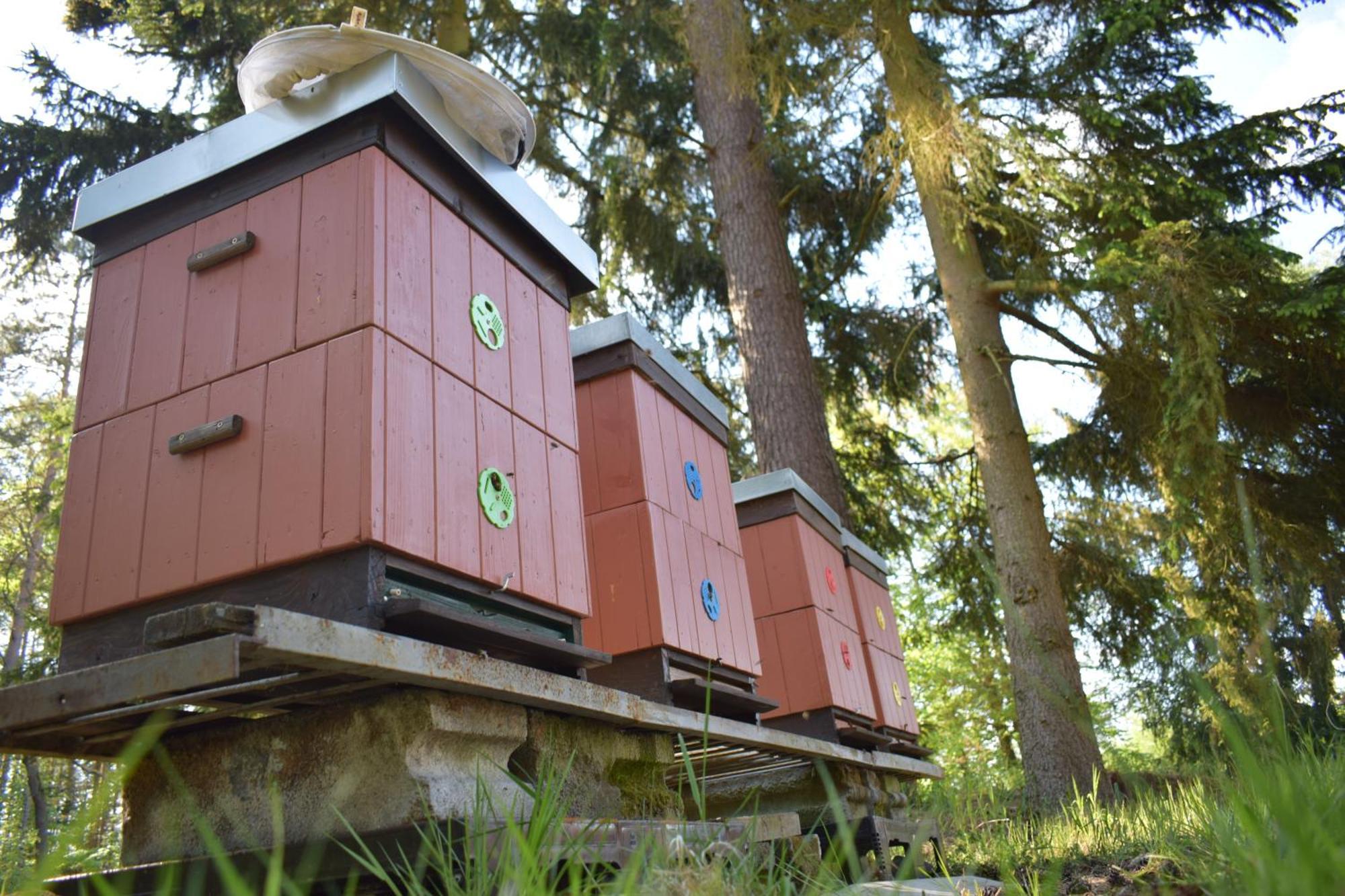 Treehouse U Rybnika Hotel Osecna Exterior photo
